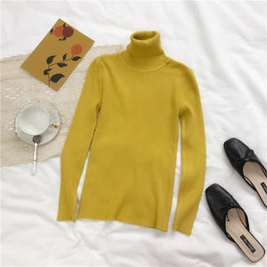 2019 Slim Long Sleeve Turtleneck Autumn Winter Sweater Women Knitted Ribbed Pullover Sweater Jumper Soft Warm Pull Femme 6897 50